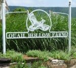 A metal sign reading "Quail Hollow Farm" hangs in front of tall green grasses. The sign features a cutout silhouette of a quail in flight. A stone border with various plants surrounds the base of the sign. Hills and a partly cloudy sky are visible in the background.