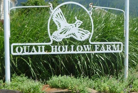 A metal sign reading "Quail Hollow Farm" hangs in front of tall green grasses. The sign features a cutout silhouette of a quail in flight. A stone border with various plants surrounds the base of the sign. Hills and a partly cloudy sky are visible in the background.