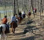 A group of eight people riding horses on a wooded trail. The trail is surrounded by leafless trees and some undergrowth. In the background, there is a grassy area and a body of water. The riders are spaced out in a single file, each wearing casual attire and helmets.