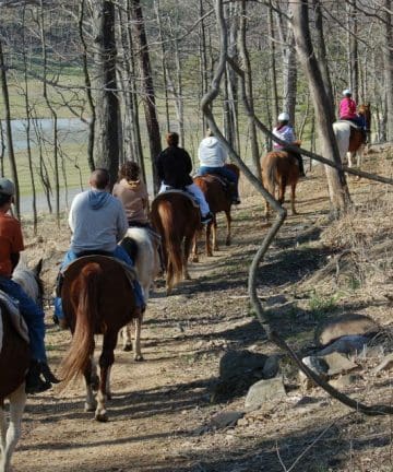 A group of eight people riding horses on a wooded trail. The trail is surrounded by leafless trees and some undergrowth. In the background, there is a grassy area and a body of water. The riders are spaced out in a single file, each wearing casual attire and helmets.