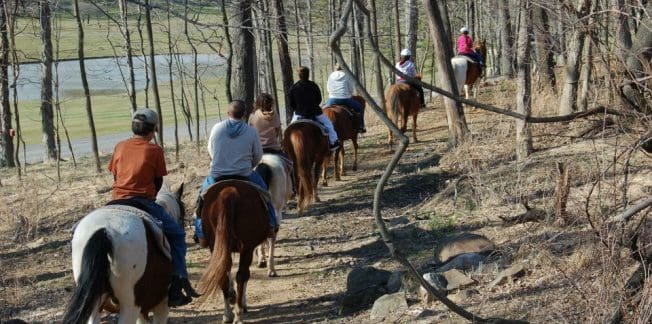 A group of eight people riding horses on a wooded trail. The trail is surrounded by leafless trees and some undergrowth. In the background, there is a grassy area and a body of water. The riders are spaced out in a single file, each wearing casual attire and helmets.